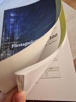 F&ouml;retagsekonomi 100 L&ouml;sningar