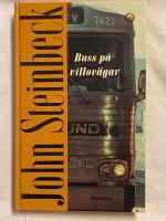 Buss p&aring; villov&auml;gar