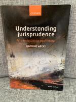 Understanding jurisprudence - an introduction to legal theory