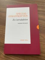 Specialstraffr&auml;tten : en introduktion
