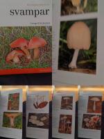 Svampar naturhandbok
