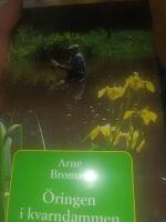 &Ouml;ringen i kvarndammen