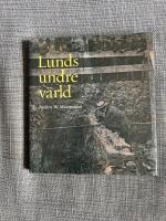 Lunds undre v&auml;rld : en ov&auml;rderlig kunskapsk&auml;lla till stadens historia D. 1 1890-1939