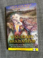 Visionary Shamanism Activating the Imaginal Cells of the Human Energy Field
