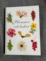 Blommor och buskar