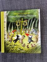 Sommar i Stora skogen