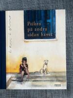 Pojken p&aring; andra sidan havet