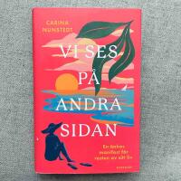 Vi ses p&aring; andra sidan : en &auml;nkas manifest f&ouml;r resten av sitt liv