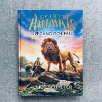 Uppg&aring;ng och fall