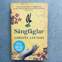 S&aring;ngf&aring;glar