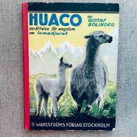 Huaco Ber&auml;ttelse f&ouml;r ungdom om lamadjuret