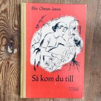 S&aring; kom du till