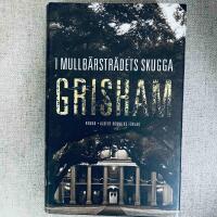 I mullb&auml;rstr&auml;dets skugga