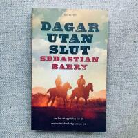 Dagar utan slut