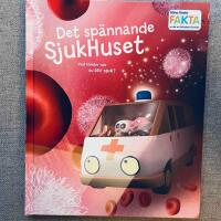 Det sp&auml;nnande sjukhuset : vad h&auml;nder n&auml;r du blir sjuk?