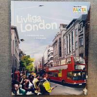 Livliga London : en h&auml;ndelserik resa till storstaden