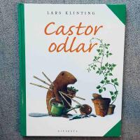 Castor odlar