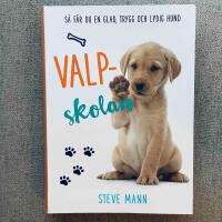 Valpskolan : s&aring; f&aring;r du en glad, trygg och lydig hund