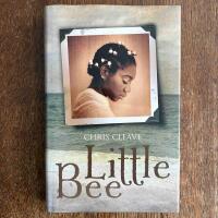 Little Bee