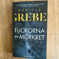 Flickorna och m&ouml;rkret