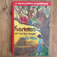 Kvartetten vid hemliga berget