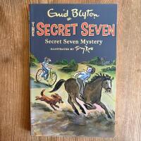 Secret seven mystery