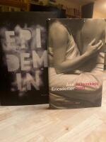 &Aring;sa Ericsdotter x2 &Auml;ktenskapsbrott och Epidemin