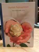 Uppt&auml;ck psykosyntesen : en bok om att &aring;terinf&ouml;ra sj&auml;len i personlig och organisatorisk utveckling