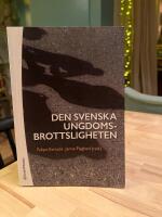 Den svenska ungdomsbrottsligheten