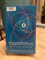Trippelfokus : ett nytt syns&auml;tt p&aring; utbildning