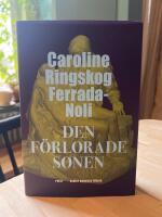 Den f&ouml;rlorade sonen