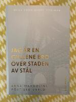 Jag &auml;r en gyllene bro &ouml;ver staden av st&aring;l. Om Anna Margolins f&ouml;rfattarskap