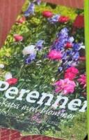 Perenner : skapa med blommor. + Kvant, Krukboken