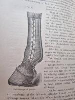 Handbok i Allm&auml;n veterin&auml;r-kirurgi 1-2