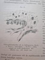 Handbok i Allm&auml;n veterin&auml;r-kirurgi 1-2