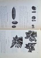 Sveriges Tr&auml;dg&aring;rdodling &Aring;rsbok 1924