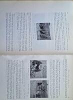 Sveriges Tr&auml;dg&aring;rdodling &Aring;rsbok 1924