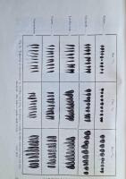 Sveriges Tr&auml;dg&aring;rdodling &Aring;rsbok 1924