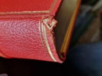 Stockholms Stift i ord och bild