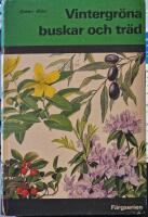 Vintergr&ouml;na buskar och tr&auml;d i f&auml;rg : tr&auml;dg&aring;rdens barrv&auml;xter, vintergr&ouml;na bladb&auml;rande buskar och tr&auml;d