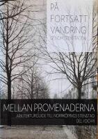 P&aring; fortsatt vandring genom Stenstaden : mellan promenaderna ; arkitekturguide till Norrk&ouml;pings stenstad Del I och II