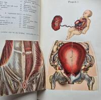 Hemmets L&auml;karebok Popul&auml;r medicinsk r&aring;dgivare f&ouml;r friska och sjuka