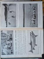 The National Parks Portfolio