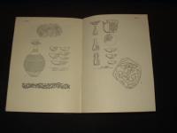 Sung ceramic designs