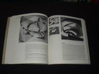 Den barbariska modernismen : futurismen och 1900-talet