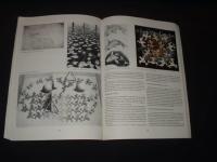 Le Miroir Magique De M.C. ESCHER