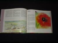 Akvarell : pappret som palett : en nyb&ouml;rjarbok