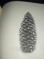 Graverat av Ulla Fries