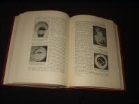 Keramisk Handbok, Europeiskt Porslin, andra delens andra h&auml;lft