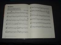 Stora svenska valsboken